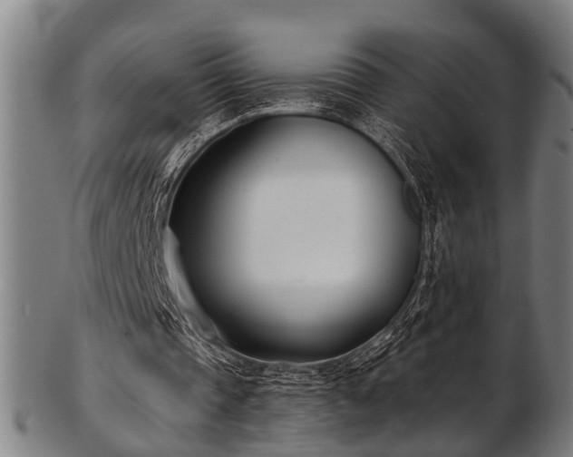 X0000103460337200809121608