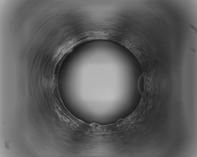 X0000103460338200809121608