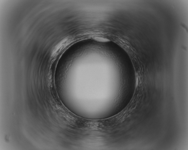 X0000103460339200809121608
