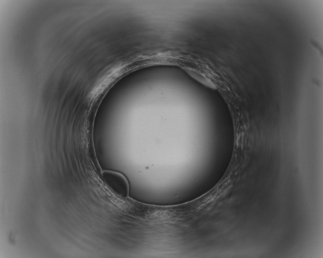 X0000103460341200809121609
