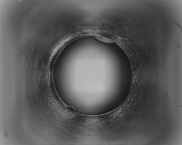X0000103460342200809121609