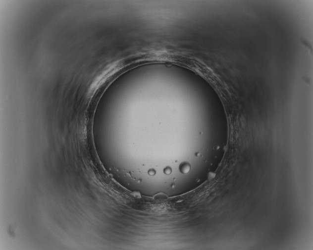 X0000103460344200809121609