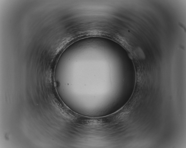 X0000103460347200809121609