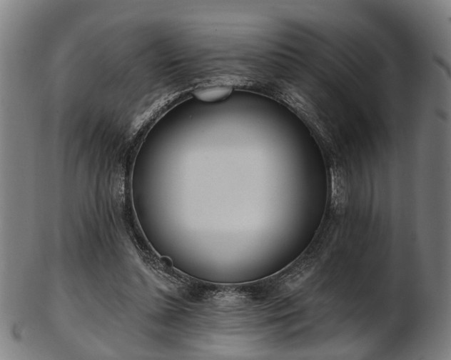 X0000103460348200809121609