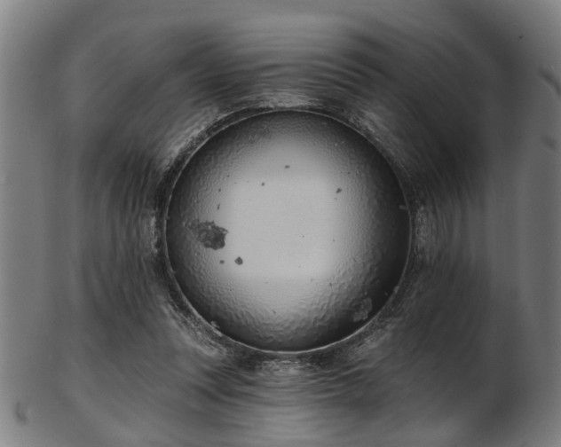 X0000103460351200809121609