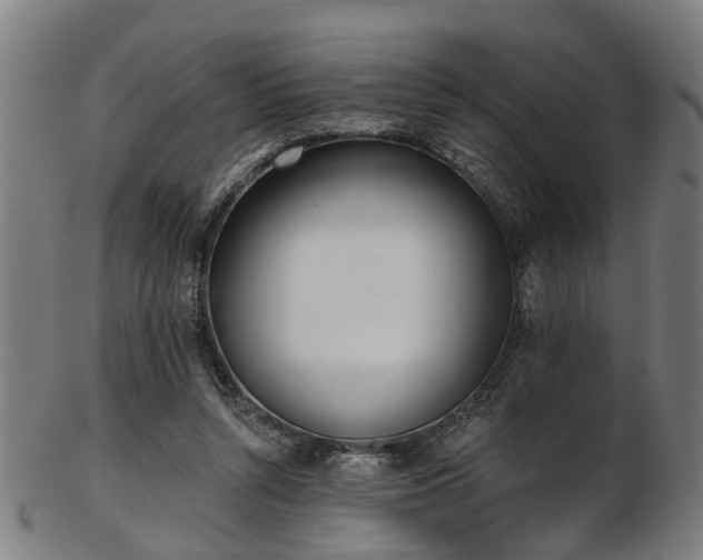 X0000103460352200809121609