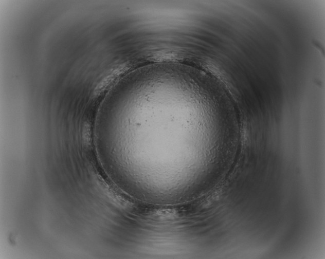 X0000103460353200809121609