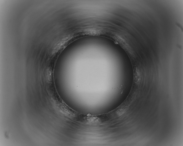X0000103460355200809121609