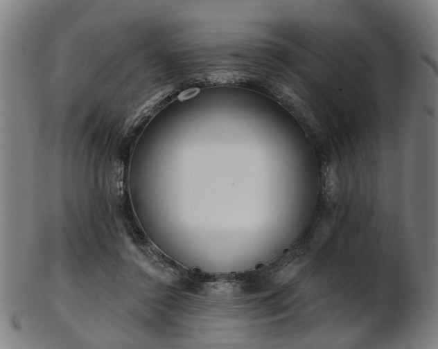 X0000103460356200809121609