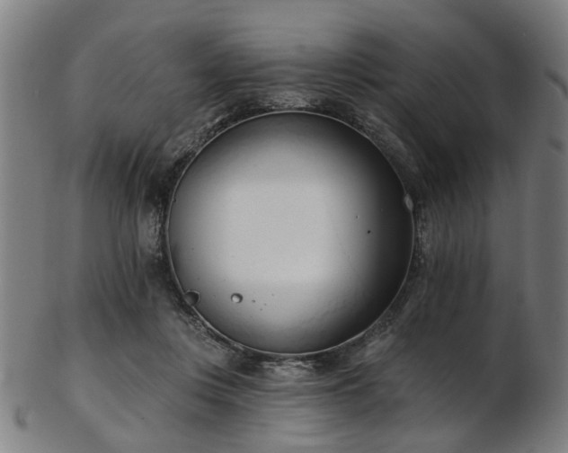 X0000103460359200809121609