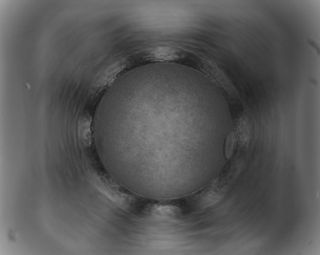 X0000103460360200809121609