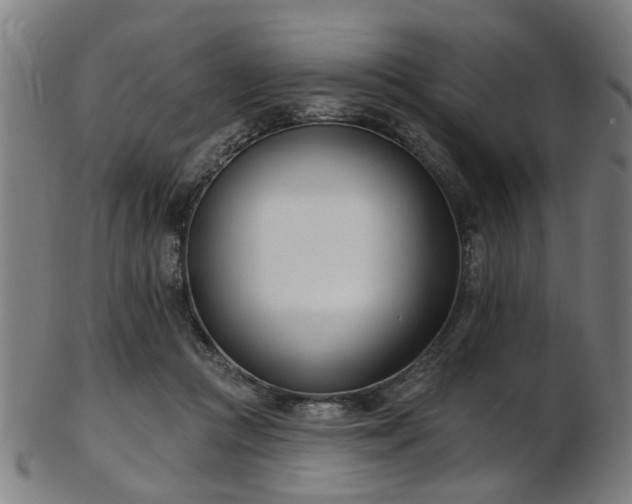 X0000103460361200809121609