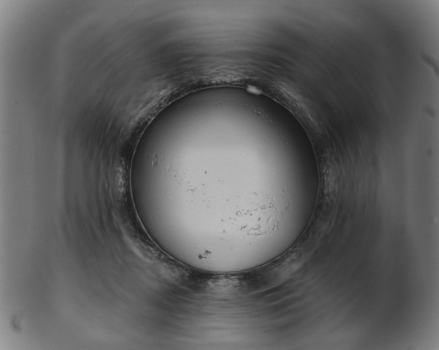 X0000103460362200809121609