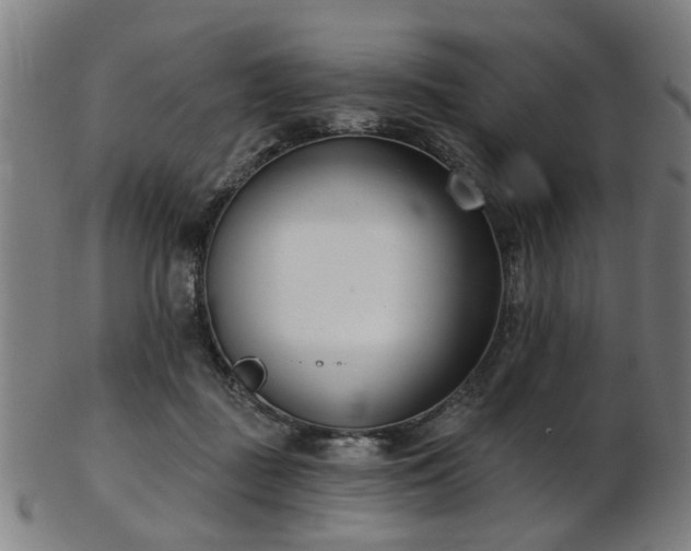X0000103460363200809121609