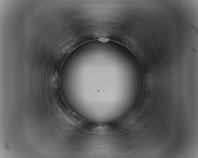 X0000103460364200809121609