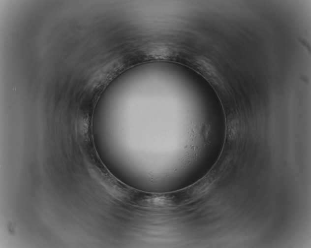 X0000103460365200809121609