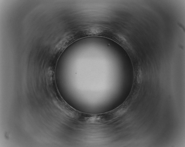 X0000103460366200809121609