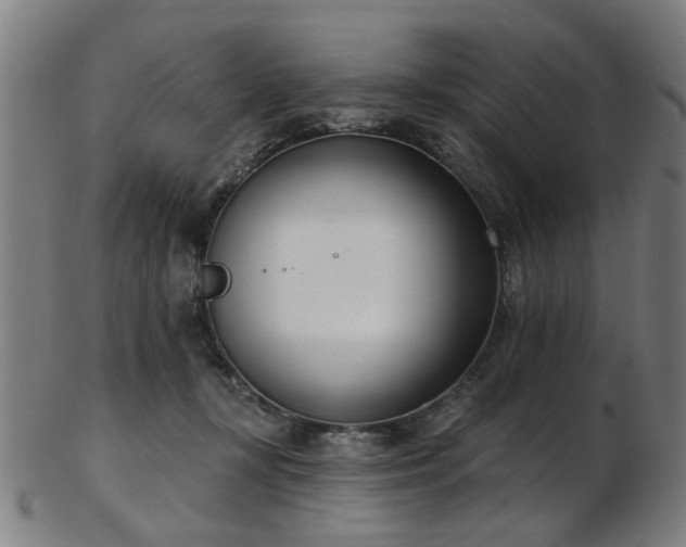 X0000103460367200809121609