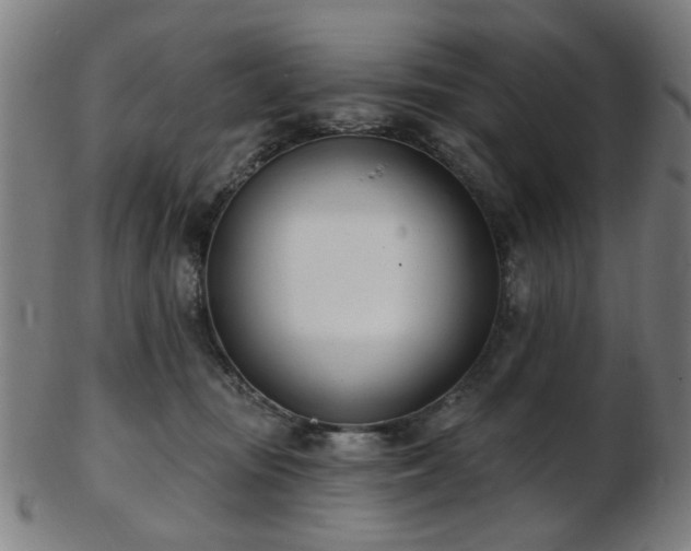 X0000103460371200809121609