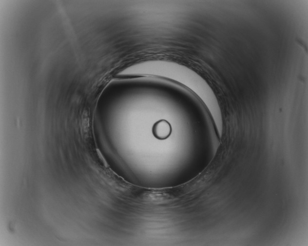 X0000103460372200809121609