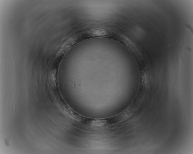 X0000103460373200809121609