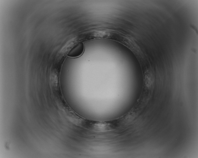 X0000103460375200809121609