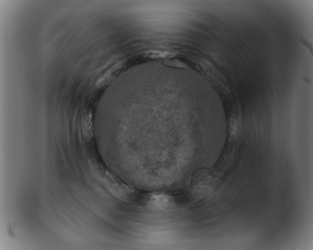 X0000103460376200809121609