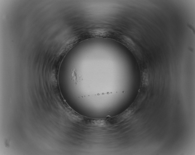 X0000103460377200809121609