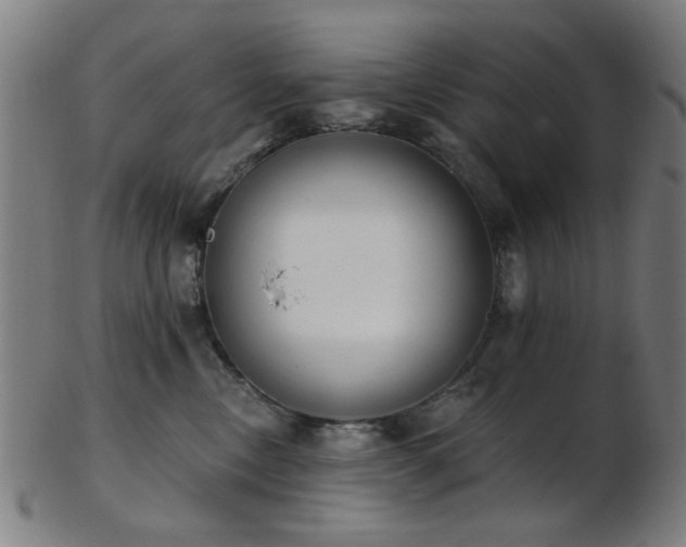 X0000103460378200809121609