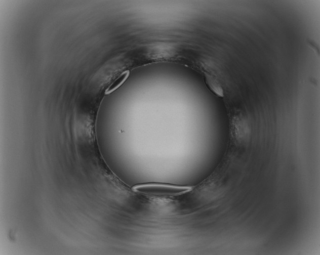 X0000103460380200809121609