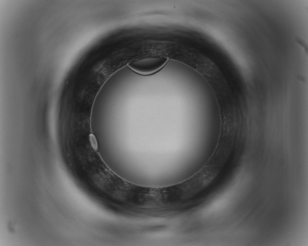X0000103460383200809121609