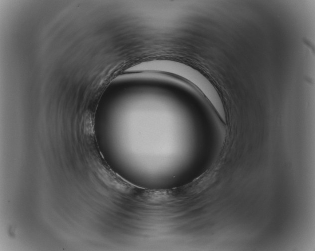 X0000103460384200809121609