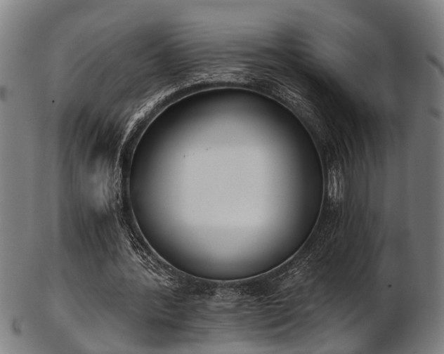 X0000103460388200809121608