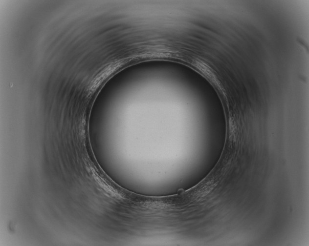 X0000103460389200809121608