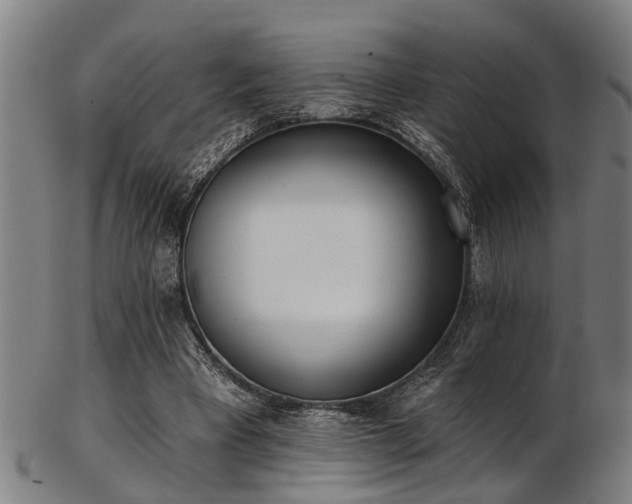 X0000103460393200809121608