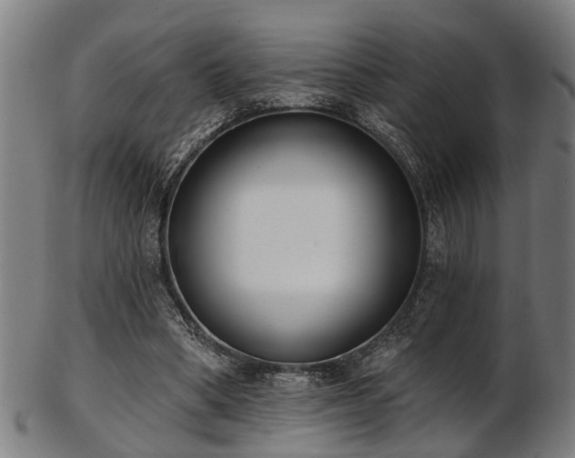 X0000103460394200809121608