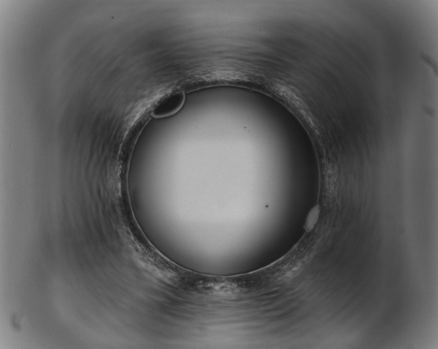 X0000103460395200809121608