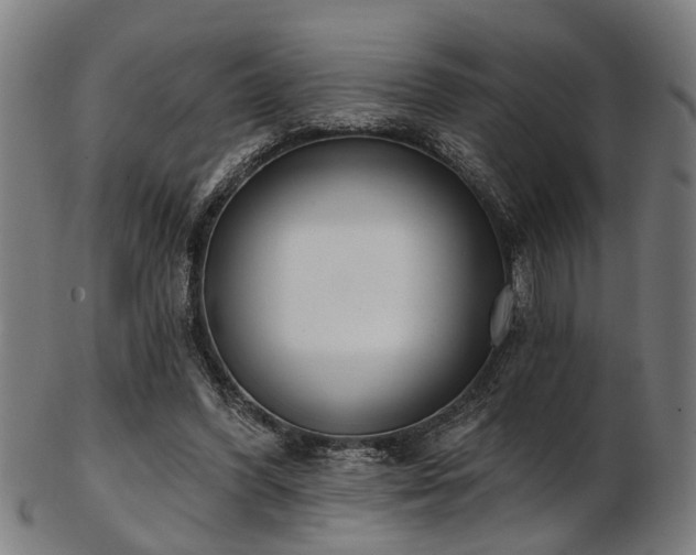 X0000103460396200809121608