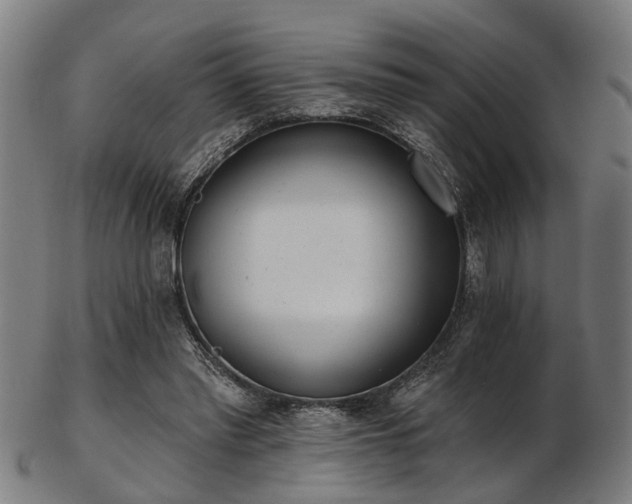 X0000103460397200809121608