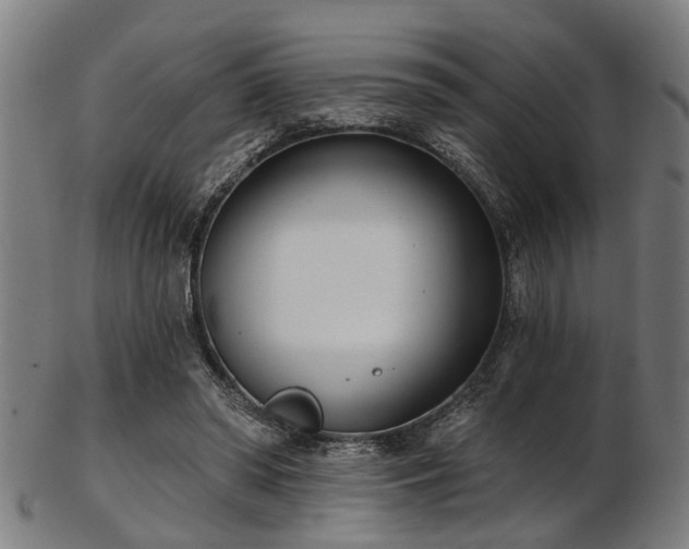 X0000103460398200809121608