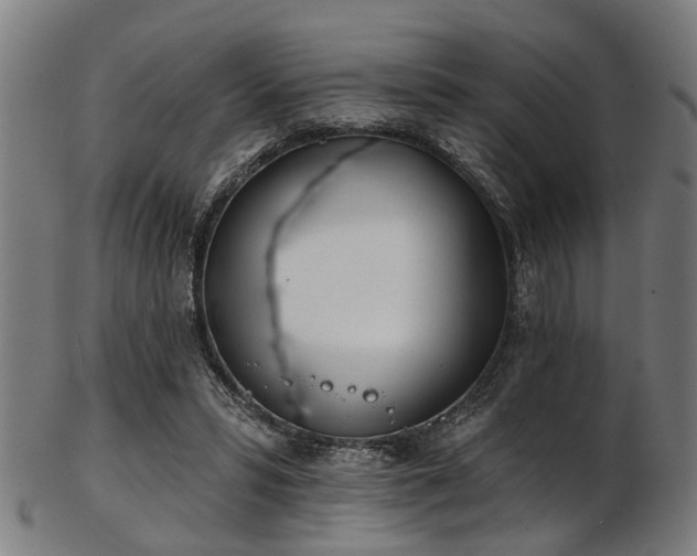 X0000103460399200809121608