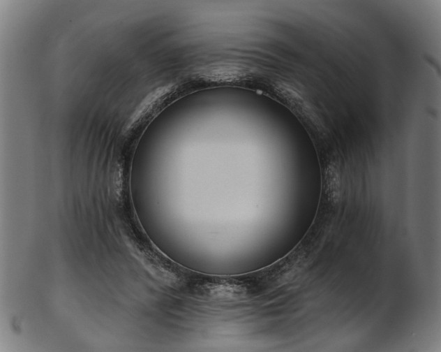 X0000103460400200809121608