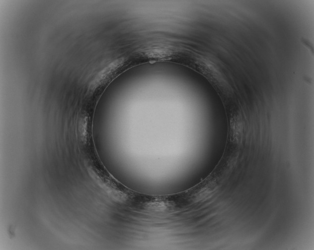 X0000103460404200809121608