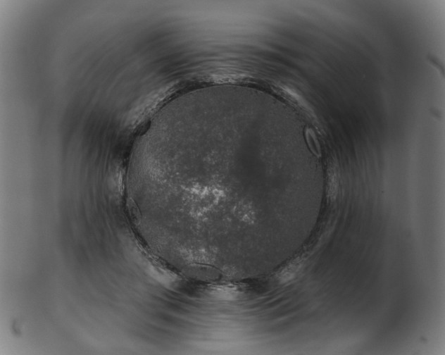 X0000103460405200809121608
