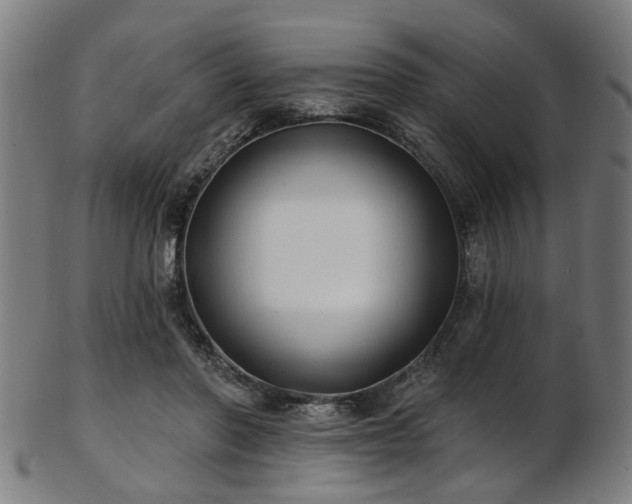 X0000103460406200809121608
