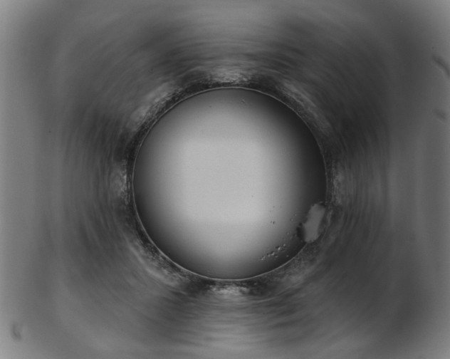 X0000103460407200809121608