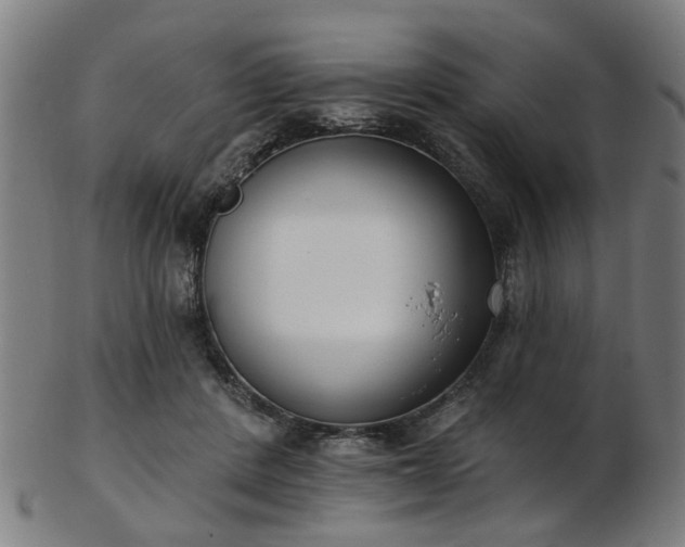 X0000103460408200809121608