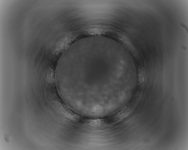 X0000103460411200809121608