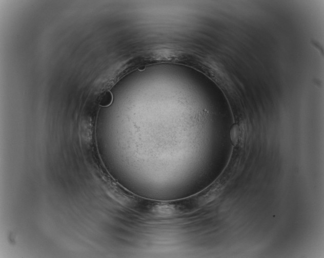 X0000103460413200809121608