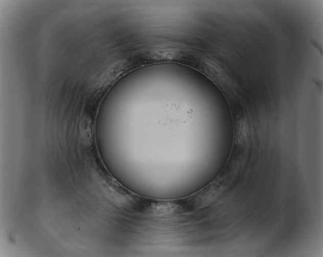 X0000103460414200809121608